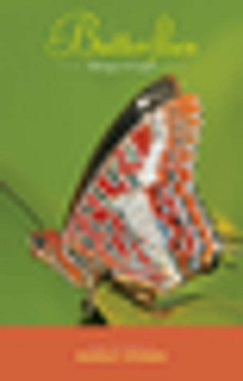 Cover of the book Butterflies by Rudolf Steiner, Rudolf Steiner Press