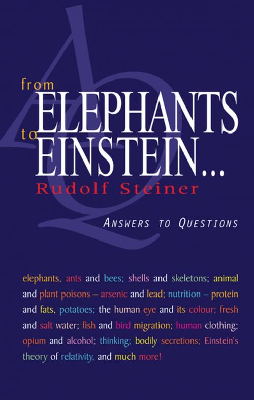 Cover of the book From Elephants to Einstein by Rudolf Steiner, Rudolf Steiner Press