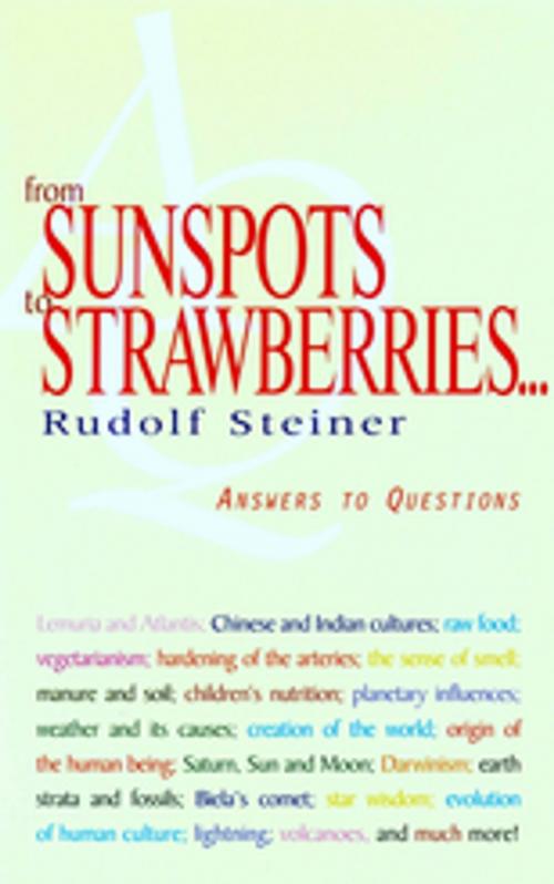 Cover of the book From Sunspots to Strawberries by Rudolf Steiner, Rudolf Steiner Press