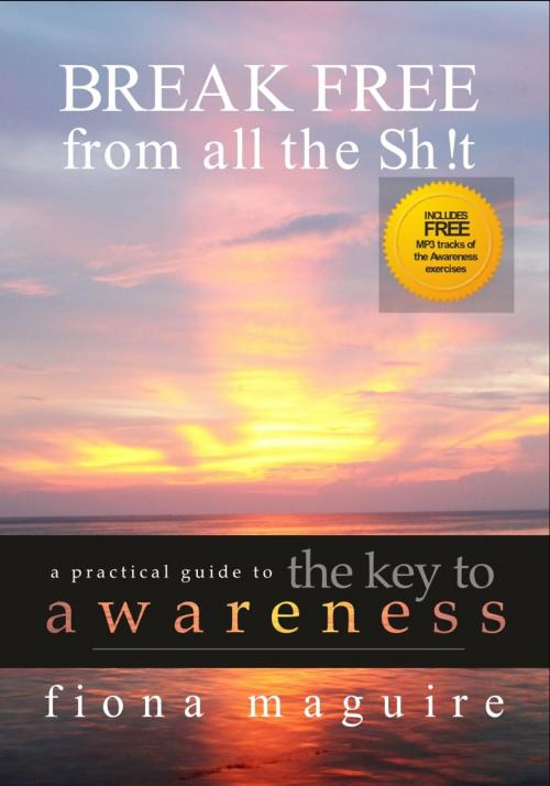 Cover of the book The Key to Awareness by Fiona Maguire, The Endless Bookcase