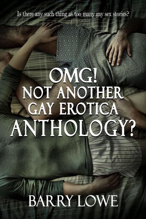 Cover of the book Omg! Not Another Gay Erotica Anthology? by Barry Lowe, Lydian Press