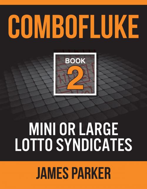 Cover of the book Combofluke Book 2 by James Parker, Vivid Publishing
