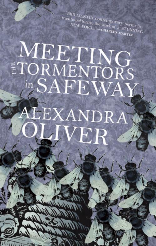 Cover of the book Meeting the Tormentors in Safeway by Alexandra Oliver, Biblioasis