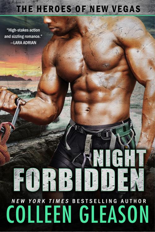 Cover of the book Night Forbidden by Colleen Gleason, Avid Press
