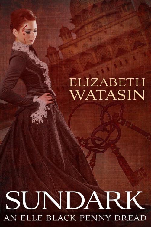 Cover of the book Sundark by Elizabeth Watasin, A-Girl Studio