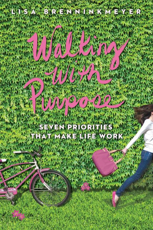 Cover of the book Walking With Purpose by Lisa Brenninkmeyer, Wellspring