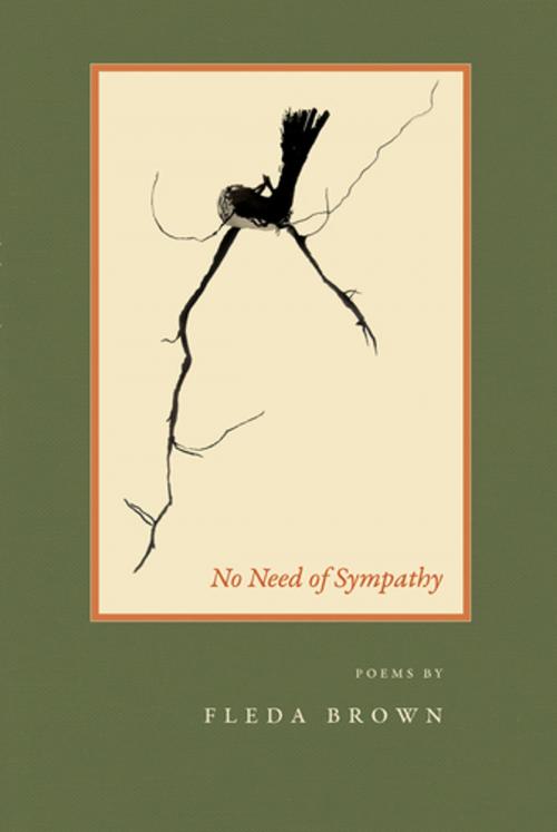 Cover of the book No Need of Sympathy by Fleda Brown, BOA Editions Ltd.