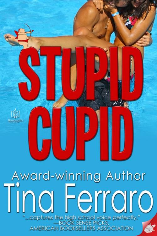 Cover of the book Stupid Cupid by Tina Ferraro, Boroughs Publishing Group