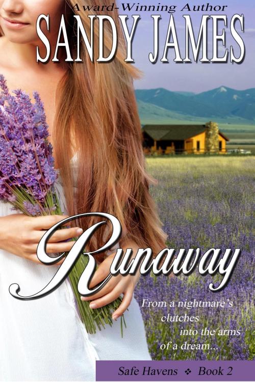 Cover of the book Runaway (Safe Havens 2) by Sandy James, Sandy James