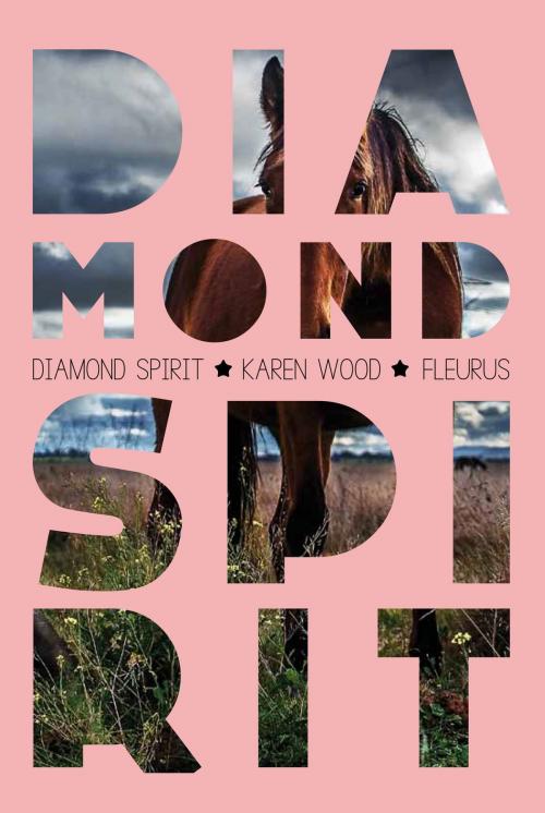 Cover of the book Diamond Spirit by Karen Wood, Fleurus