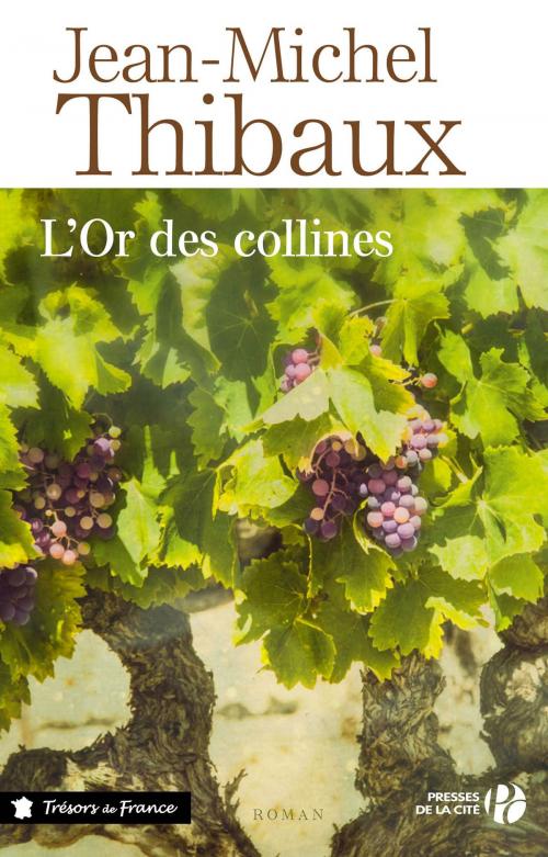 Cover of the book L'Or des collines by Jean-Michel THIBAUX, Place des éditeurs