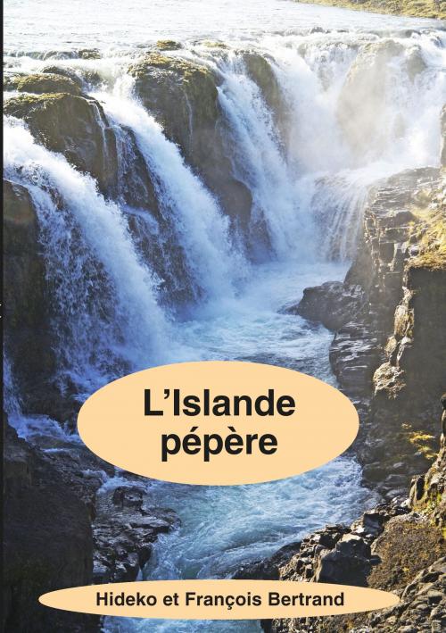 Cover of the book L'Islande pépère by Hideko Bertrand, François Bertrand, Books on Demand