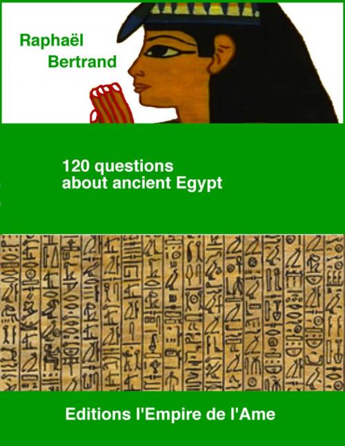 Cover of the book 120 questions about ancient Egypt by Raphaël Bertrand, L'Empire de l'Ame