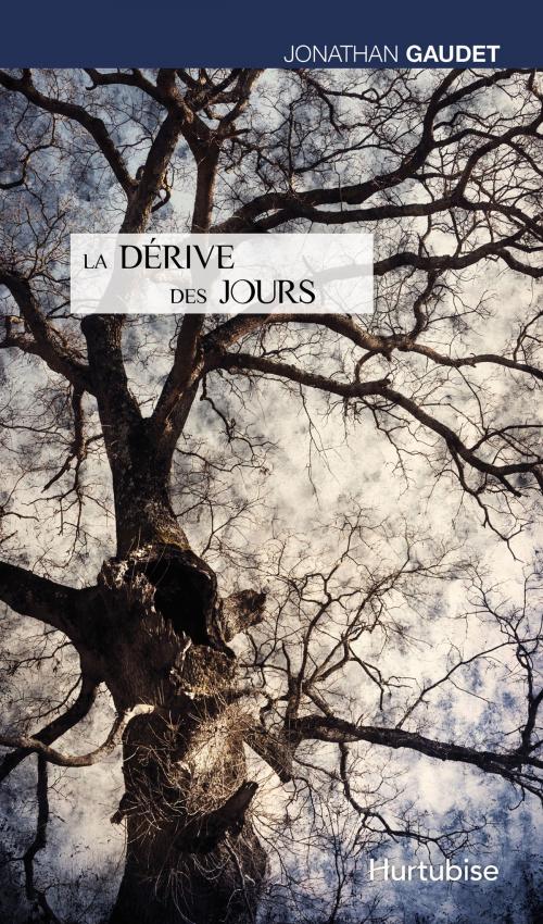 Cover of the book La dérive des jours by Jonathan Gaudet, Éditions Hurtubise