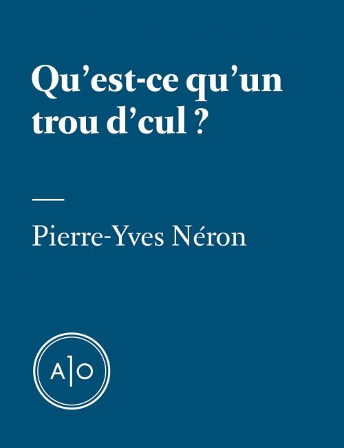 Cover of the book Qu’est-ce qu’un trou d’cul? by Pierre-Yves Néron, Atelier 10