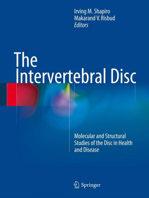 Cover of the book The Intervertebral Disc by , Springer Vienna