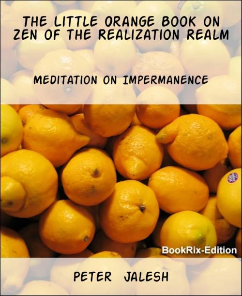 Cover of the book The Little Orange Book on Zen of the Realization Realm by Peter Jalesh, BookRix