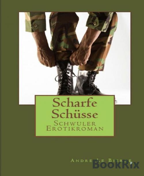 Cover of the book Scharfe Schüsse by Andre Le Bierre, BookRix