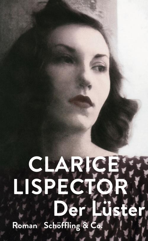 Cover of the book Der Lüster by Clarice Lispector, Luis Ruby, Schöffling & Co.