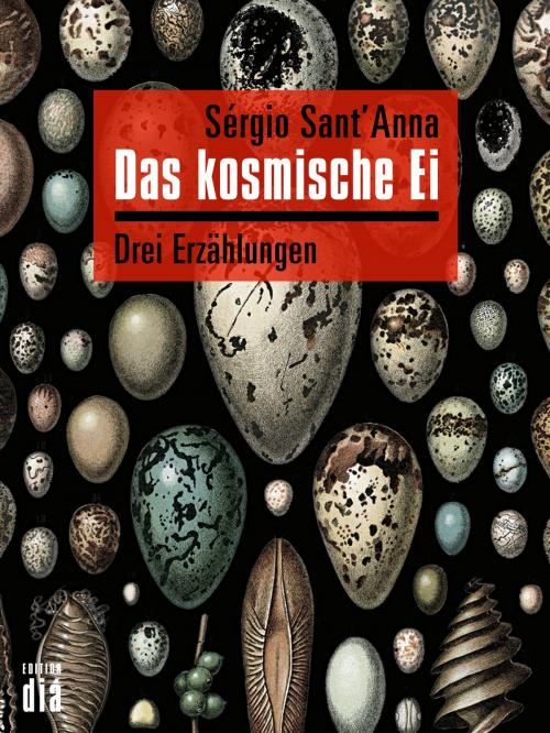 Cover of the book Das kosmische Ei by Sérgio Sant'Anna, Edition diá
