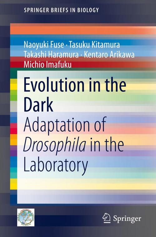 Cover of the book Evolution in the Dark by Naoyuki Fuse, Tasuku Kitamura, Takashi Haramura, Kentaro Arikawa, Michio Imafuku, Springer Japan