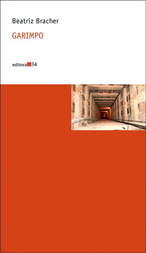 Cover of the book Garimpo by Beatriz Bracher, EDITORA 34
