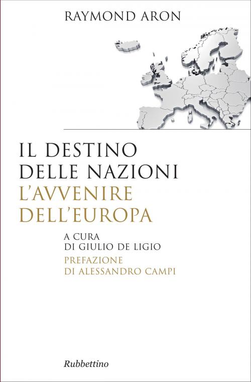 Cover of the book Il destino delle nazioni by Raymond Aron, Alessandro Campi, Rubbettino Editore