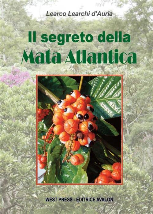 Cover of the book Il segreto della Mata Atlantica by Learco Learchi d'Auria, West Press