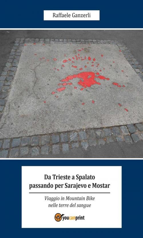 Cover of the book Da Trieste a Spalato passando per Sarajevo e Mostar by Raffaele Ganzerli, Youcanprint
