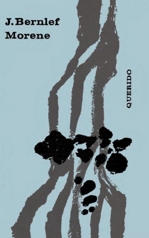 Cover of the book Morene by J. Bernlef, Singel Uitgeverijen