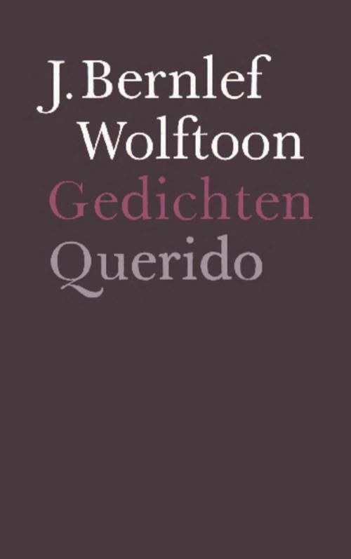 Cover of the book Wolftoon by J. Bernlef, Singel Uitgeverijen