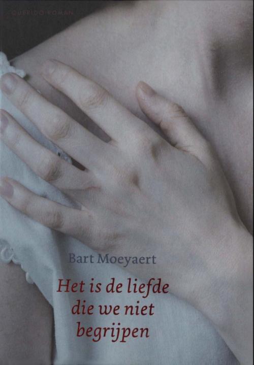 Cover of the book Het is de liefde die we niet begrijpen by Bart Moeyaert, Singel Uitgeverijen