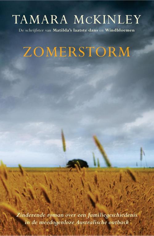 Cover of the book Zomerstorm by Tamara McKinley, VBK Media