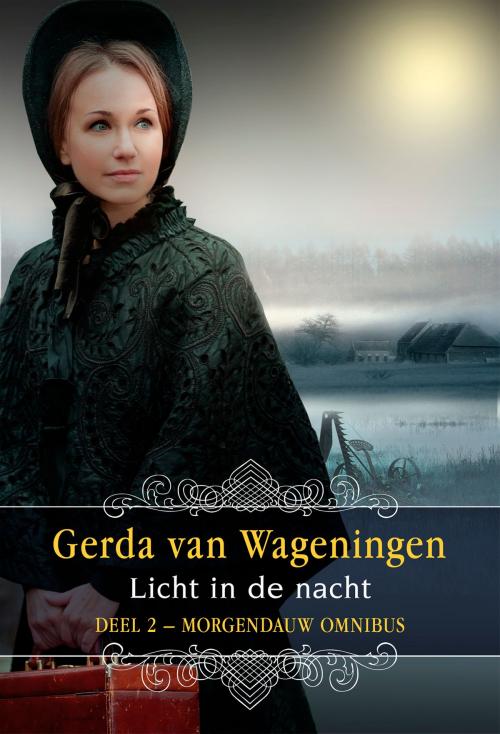 Cover of the book Licht in de nacht by Gerda van Wageningen, VBK Media