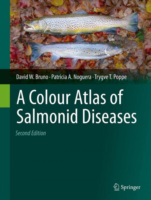 Cover of the book A Colour Atlas of Salmonid Diseases by Patricia A. Noguera, Trygve T. Poppe, David W. Bruno, Springer Netherlands