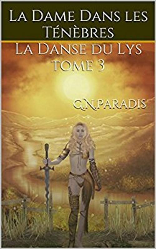 Cover of the book La Dame Dans les Ténèbres by G.N.Paradis, Evolstories