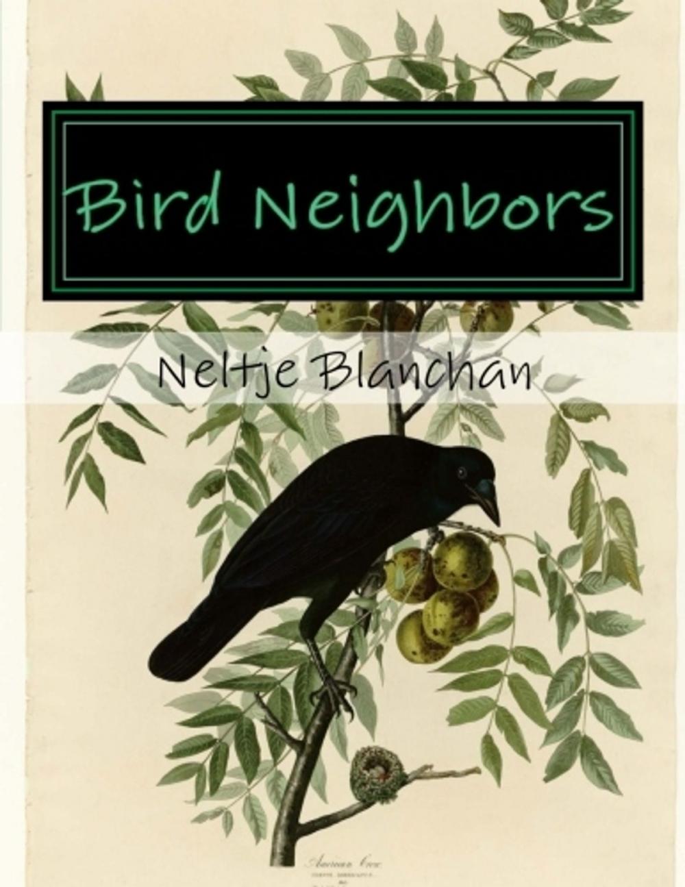 Big bigCover of Bird Neighbors (Illustrated)