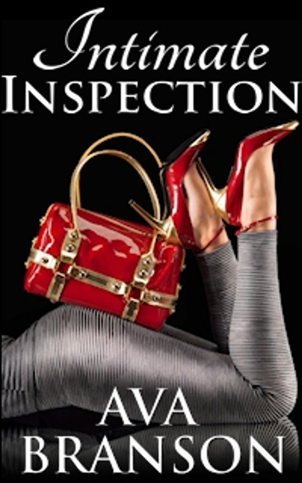 Big bigCover of Intimate Inspection