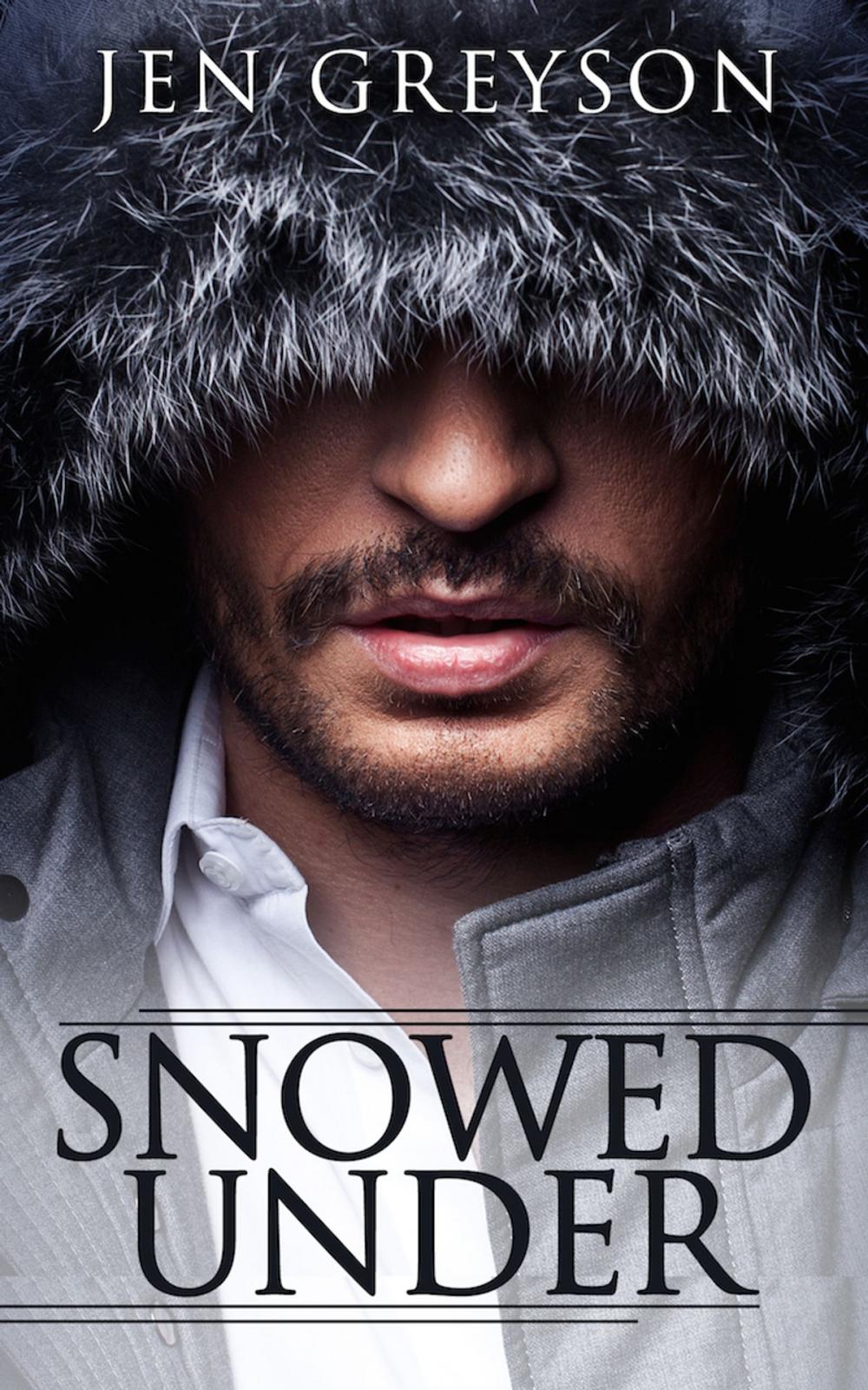 Big bigCover of Snowed Under, Wunderland #2 (NA Contemporary Romance)