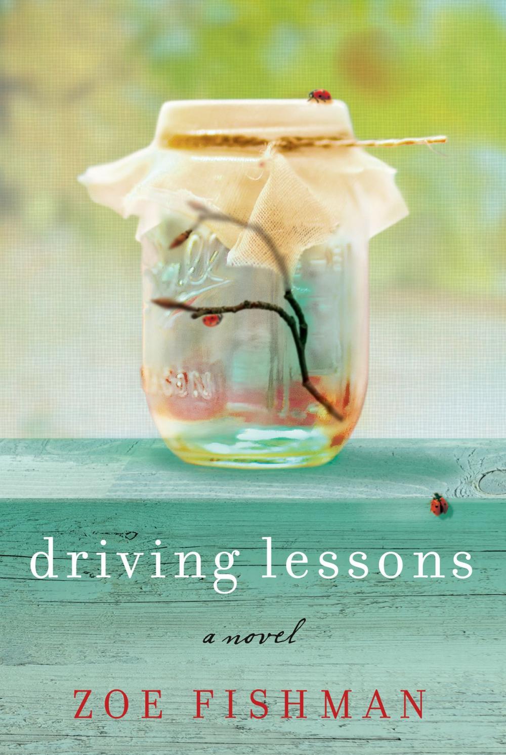 Big bigCover of Driving Lessons