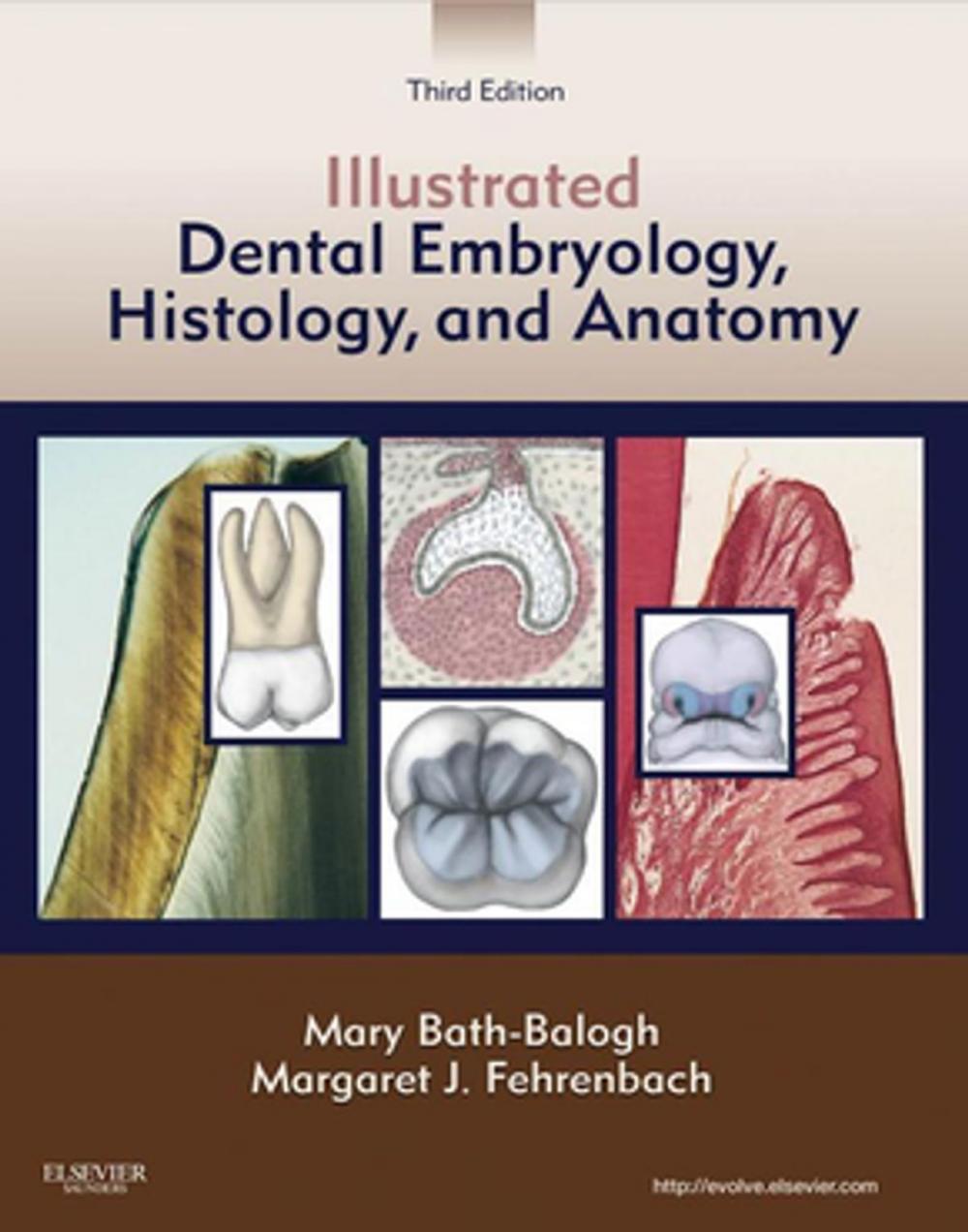 Big bigCover of Illustrated Dental Embryology, Histology, and Anatomy - E-Book