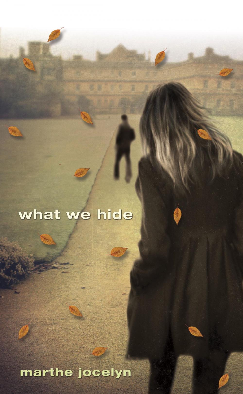 Big bigCover of What We Hide