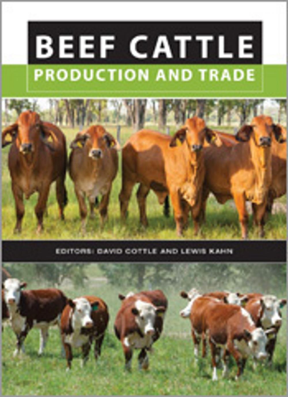 Big bigCover of Beef Cattle Production and Trade