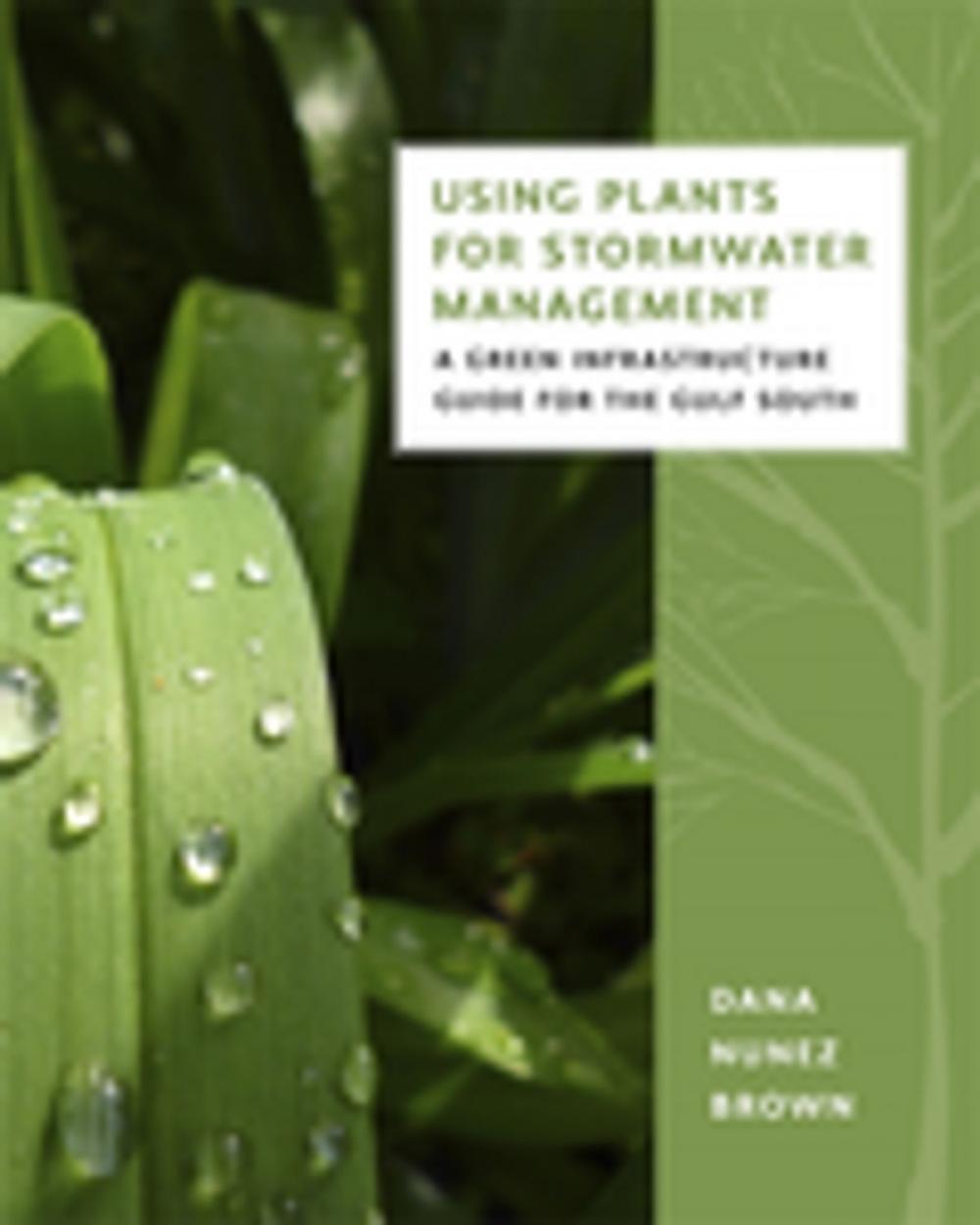 Big bigCover of Using Plants for Stormwater Management