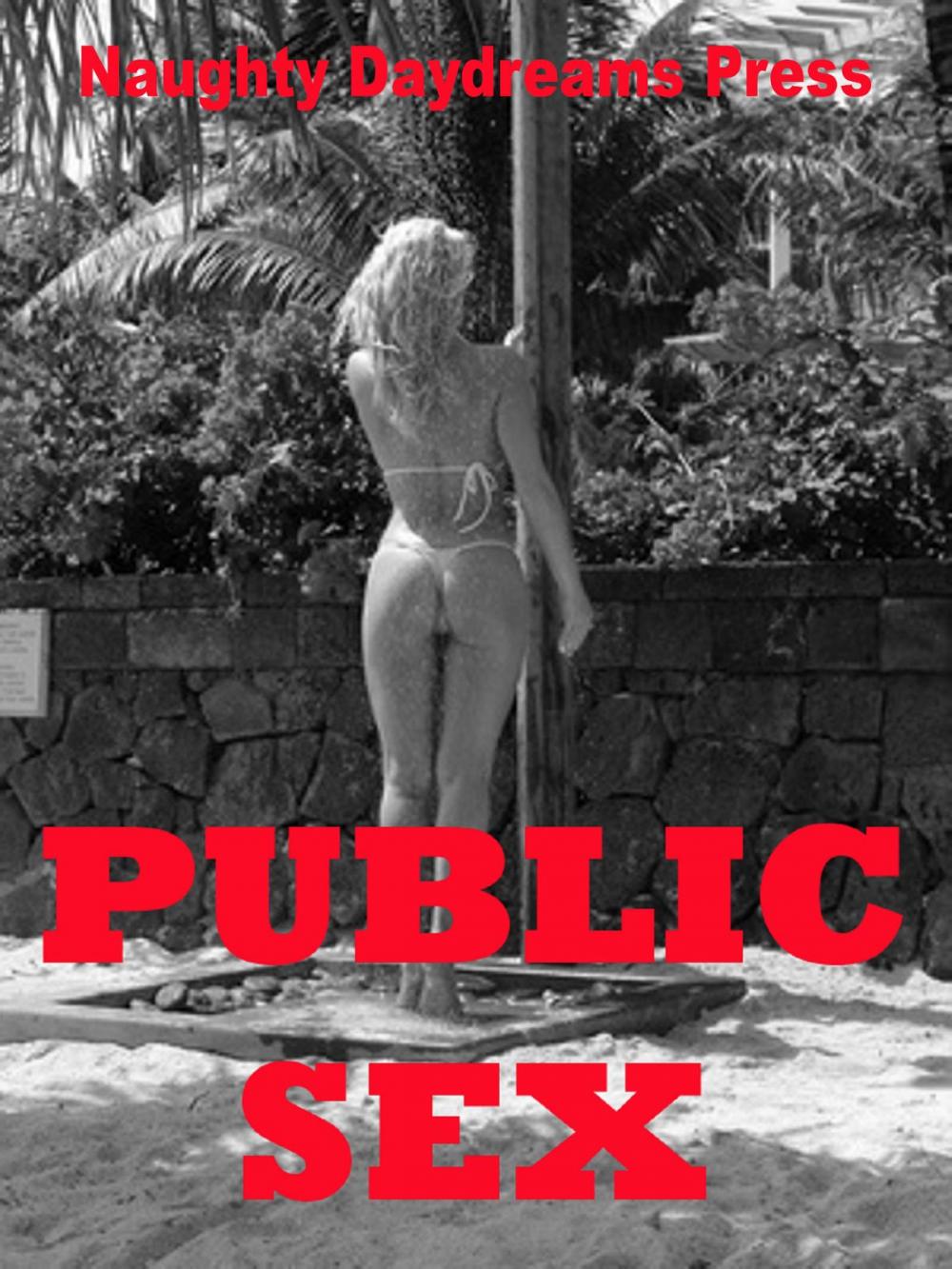 Big bigCover of Public Sex