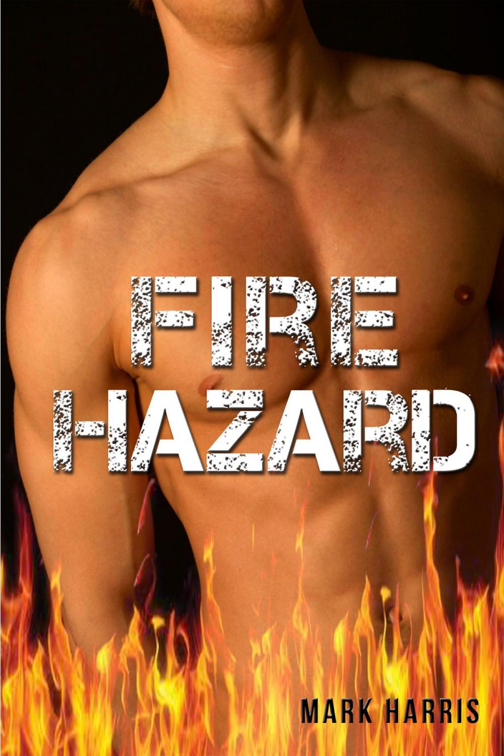 Big bigCover of Fire Hazard (Gay Erotica)