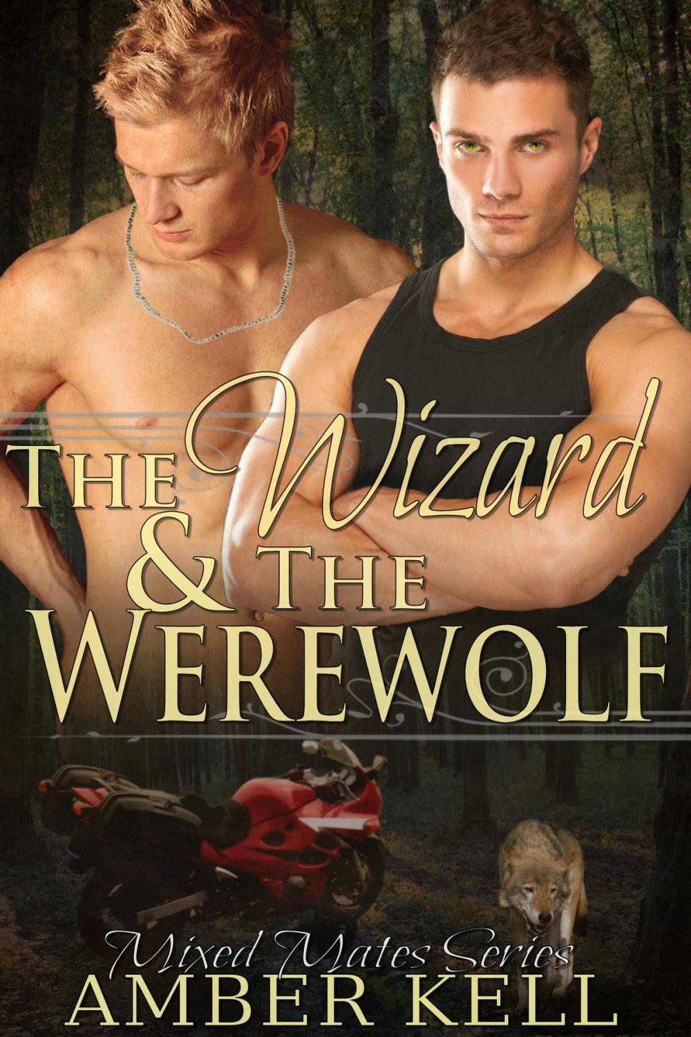 Big bigCover of The Wizard and The Werewolf