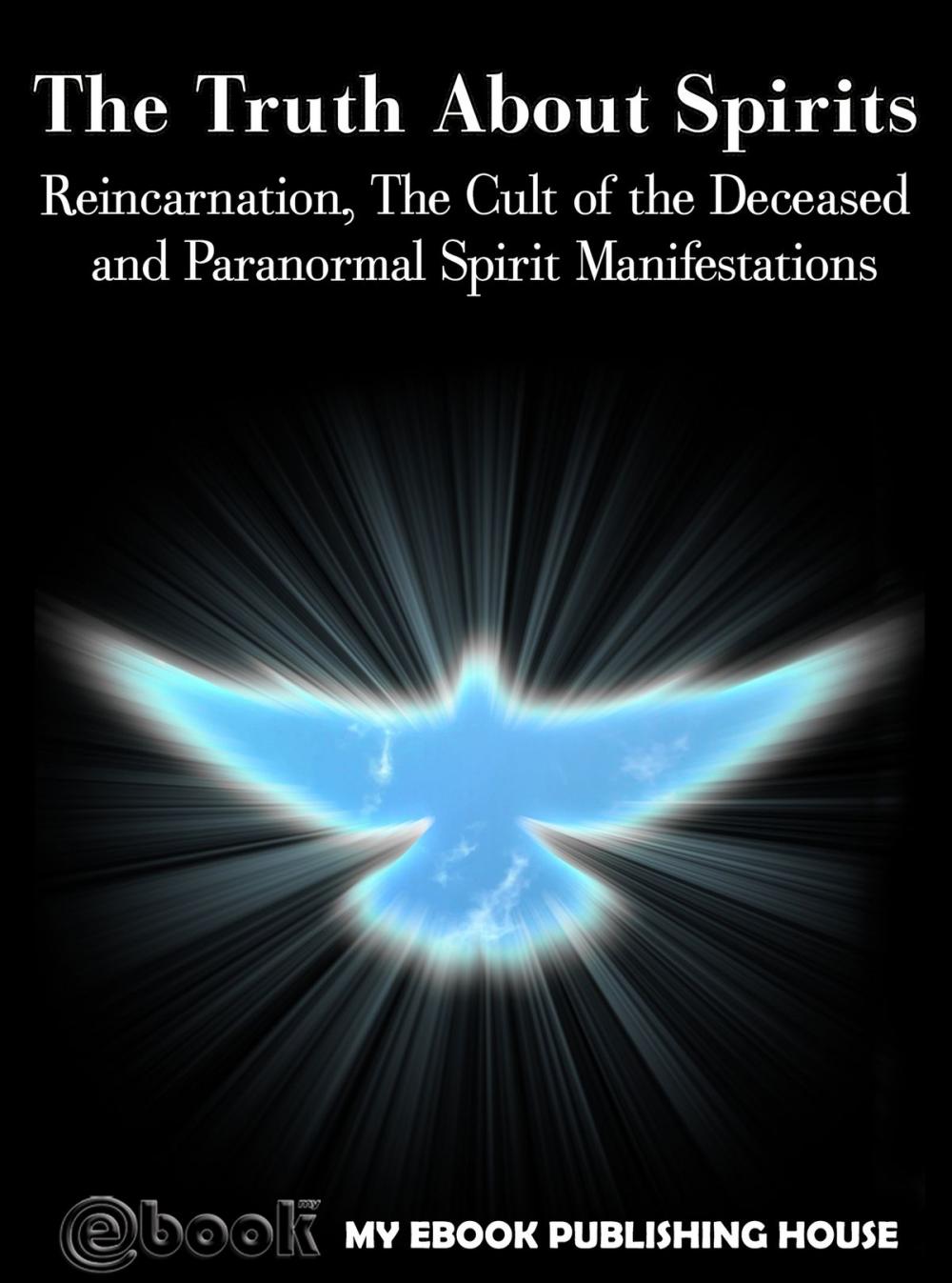 Big bigCover of The Truth About Spirits: Reincarnation, The Cult of the Deceased and Paranormal Spirit Manifestations