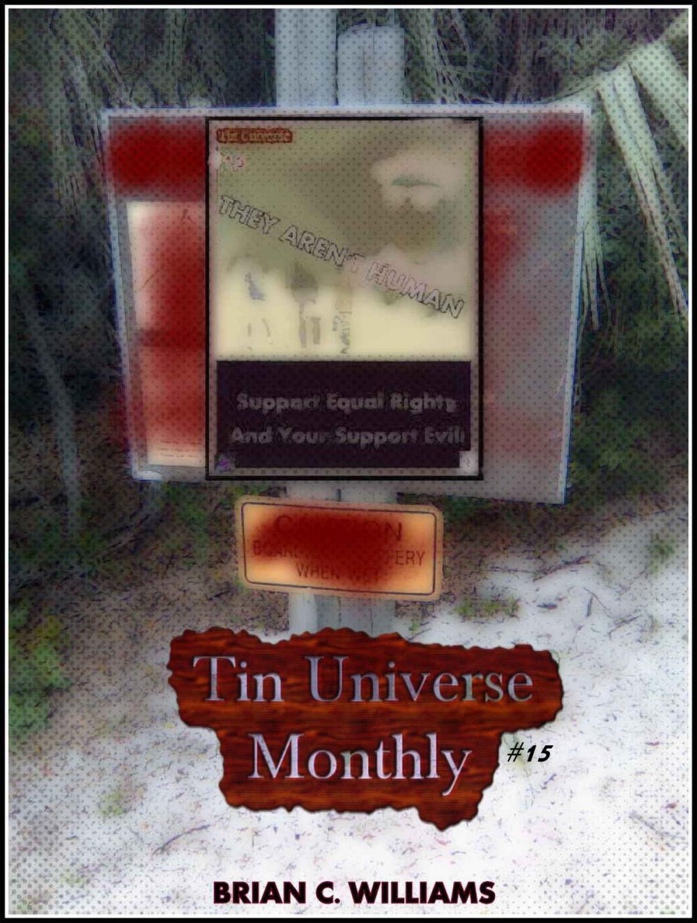 Big bigCover of Tin Universe Monthly #15