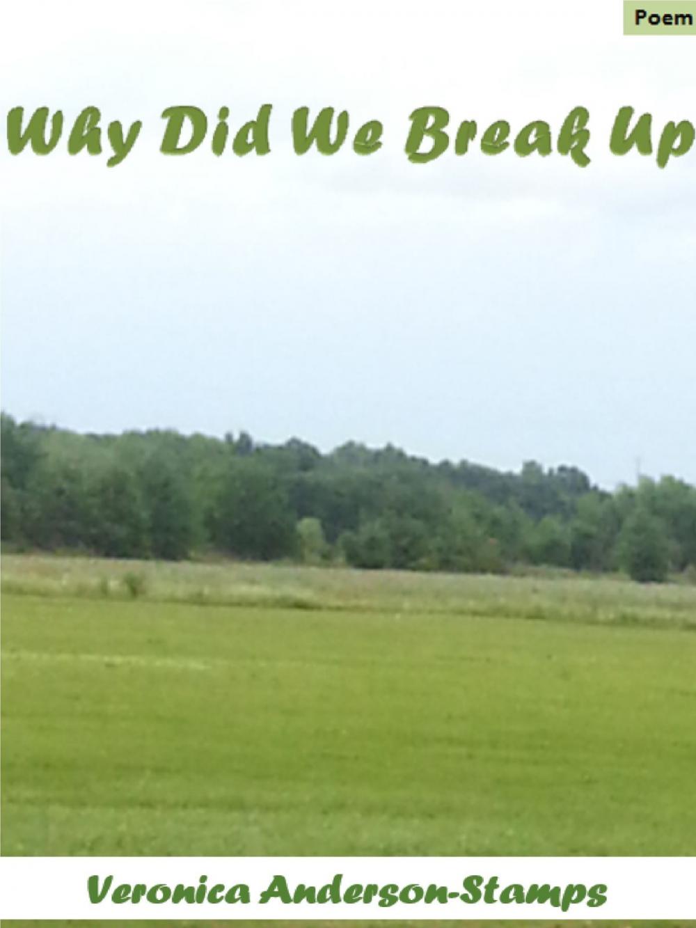 Big bigCover of Why Did We Break Up